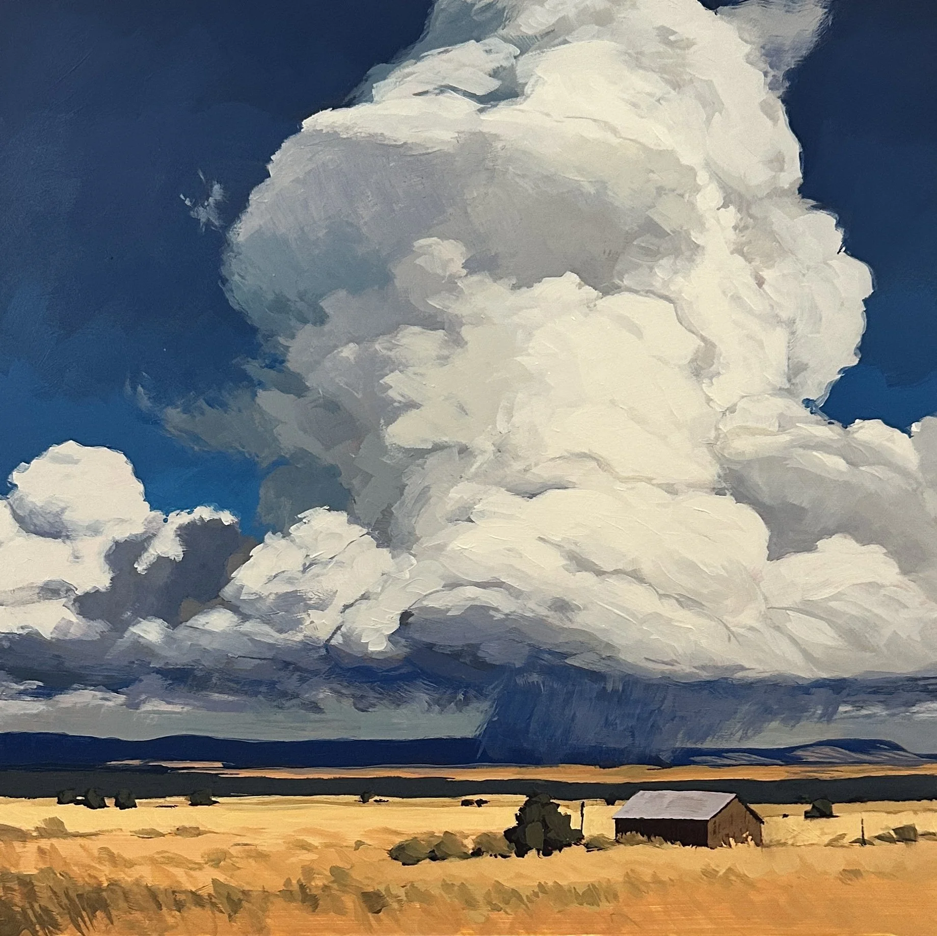 Summer Storm — Jim Musil Painter
